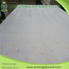 Two Time Hot Press 18mm Poplar Plywood for Basic Board